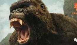 金刚怪兽电影在线观看,巅峰对决，在线观影盛宴