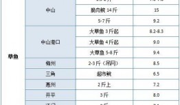 天圆地方爆料视频大全,视频爆料大全深度解析